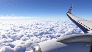 Boeing 737-800 American Airlines 100th Anniversary (N840NN) thumbnail 17