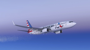 Boeing 737-800 American Airlines 100th Anniversary (N840NN) thumbnail 6