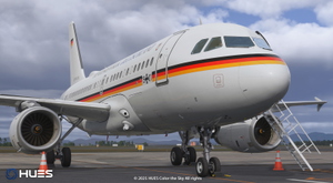 Bundesrepublik Deutschland 15+01 | Fenix A319 thumbnail 3