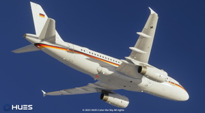 Bundesrepublik Deutschland 15+01 | Fenix A319 thumbnail 8