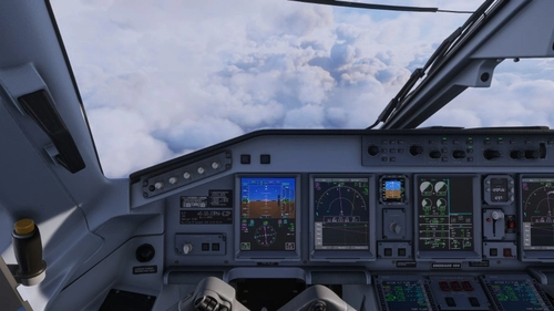 Custom Views for FSS Ejets E190