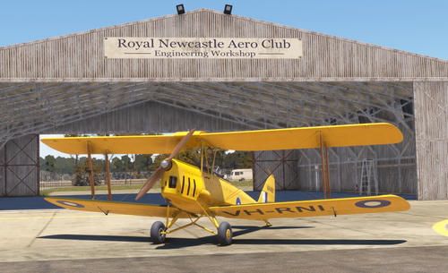 De Havilland DH.82A Tiger Moth VH-RNI