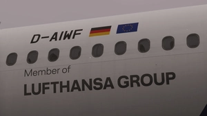 Discover [Fleet] w/Cabin - Fenix A320 thumbnail 3