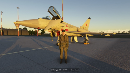 EFA Typhoon - IndiaFoxtEcho AMI     1° RMV DA7