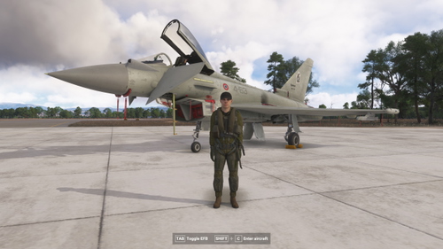 EFA Typhoon - IndiaFoxtEcho AMI M.M.7355