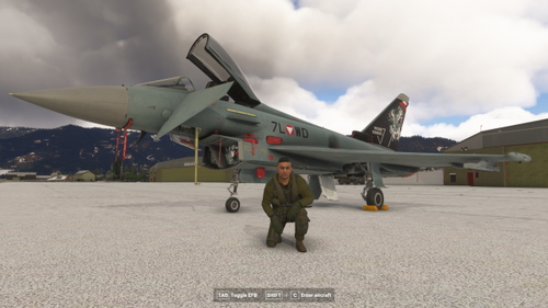 EFA Typhoon - IndiaFoxtEcho Austrian Air Force 7L-WD