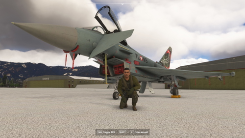 EFA Typhoon - IndiaFoxtEcho Austrian Air Force 7L-WB
