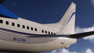 EIE Eagle [N737M] - PMDG 738 2024 thumbnail 2
