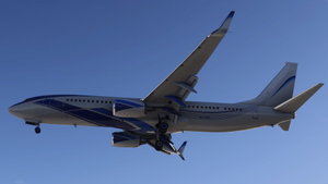 EIE Eagle [N737M] - PMDG 738 2024 thumbnail 3