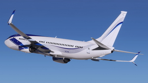 EIE Eagle [N737M] - PMDG 738 2024 thumbnail 7