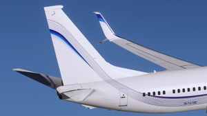 EIE Eagle [N737M] - PMDG 738 2024 thumbnail 10