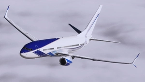 EIE Eagle [N737M] - PMDG 738 2024 thumbnail 11