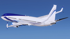 EIE Eagle [N737M] - PMDG 738 2024 thumbnail 13