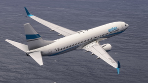 Enter Air [Collection] PMDG B737-800 thumbnail 4