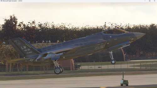 F35A 48 OG Livery (19-5485) RAF Lakenheath