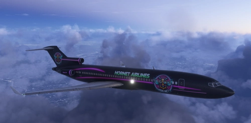 FSS B727  Hornet Airlines