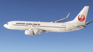 Japan Airlines [Package] w/Cabin PMDG 737-800 (2024) thumbnail 5
