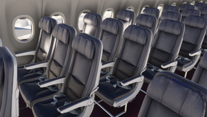 Japan Airlines [Package] w/Cabin PMDG 737-800 (2024) thumbnail 7