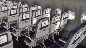 Japan Airlines [Package] w/Cabin PMDG 737-800 (2024) thumbnail 8
