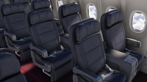 Japan Airlines [Package] w/Cabin PMDG 737-800 (2024) thumbnail 11