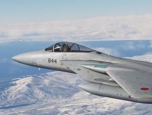 Just Flight  (DC designs)  F-15C/D JASDF Dirty thumbnail 10