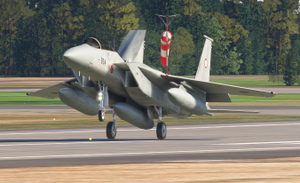 Just Flight  (DC designs)  F-15C/D JASDF Dirty thumbnail 6
