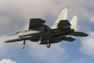 Just Flight  (DC designs)  F-15C/D JASDF Dirty thumbnail 4