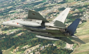Just Flight  (DC designs)  F-15C/D JASDF Dirty thumbnail 7