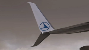 Luxair [LX-LBB] - PMDG 738 2024 thumbnail 7