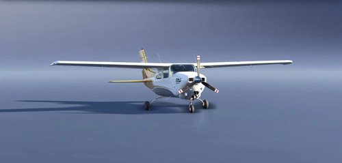 Carenado CT210 Turbo - 10 Years Livery - Gold Virtual Airlines