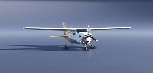 Carenado CT210 Turbo Gold - 10 Years Livery - Gold Virtual Airlines