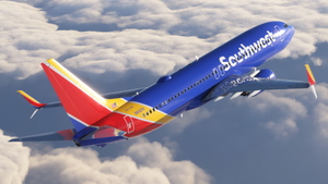 Southwest Airlines [Package] w/Cabin PMDG 737-800 thumbnail 3