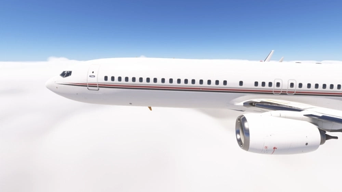 PMDG 737-900(ER) Netjets (N127QS, N128QS and N737CM)