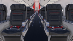 PMDG 737-900ER w/ cabin Turkish Airlines - 200th Aircraft  (TC-JYI) thumbnail 10