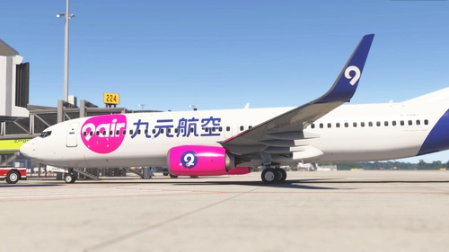 PMDG 738 9 Air B-6991