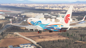 PMDG 738 Air China Phoenix B-5422 thumbnail 9