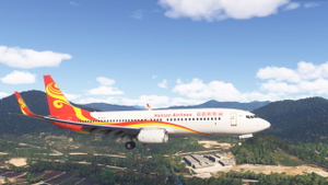 PMDG 738 Hainan Airlines B-7377 thumbnail 8