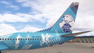 PMDG Boeing 737-800 NordStar RA-73254 MFC "Norilskiy Nickel" thumbnail 2