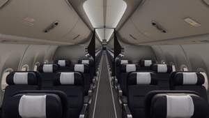 PMDG Boeing 737-800 NordStar RA-73255 HC "Norilsk" thumbnail 4