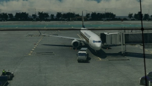 Singapore Airlines | iFly 737 MAX8 w/Cabin  Full Fleet thumbnail 3