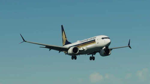 Singapore Airlines | iFly 737 MAX8 w/Cabin  Full Fleet