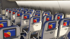 Southwest Airlines [Package] w/Cabin PMDG 737-800 (2024) thumbnail 10