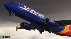 Southwest Fleet Pack | Custom 3D Cabin | Smart Decals | PMDG B737-800 thumbnail 10
