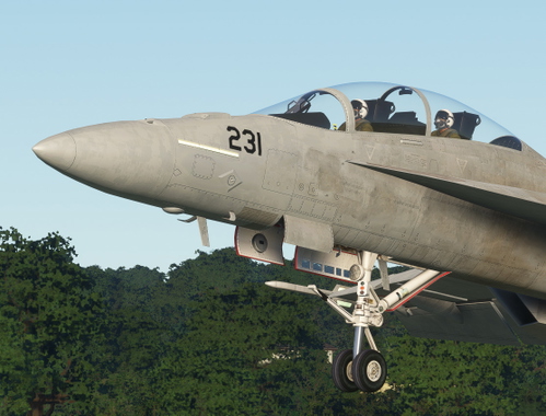 Swiss Air Force F-18F 