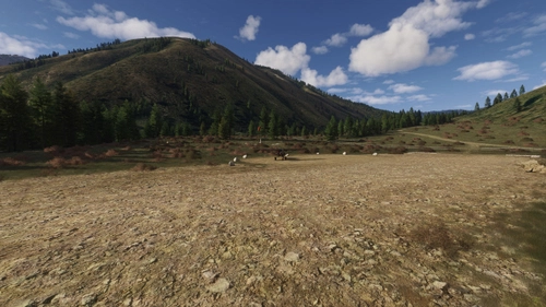 U72- Upper Loon Creek USFS