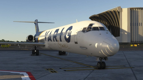 VARIG MD-82 PP-VKC Maddog 20th
