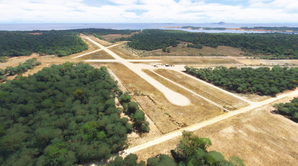 YCBN Cape Barren Island - Tasmania thumbnail 1
