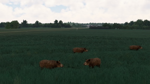 Zellhausen Glider Airfield V2 thumbnail 21