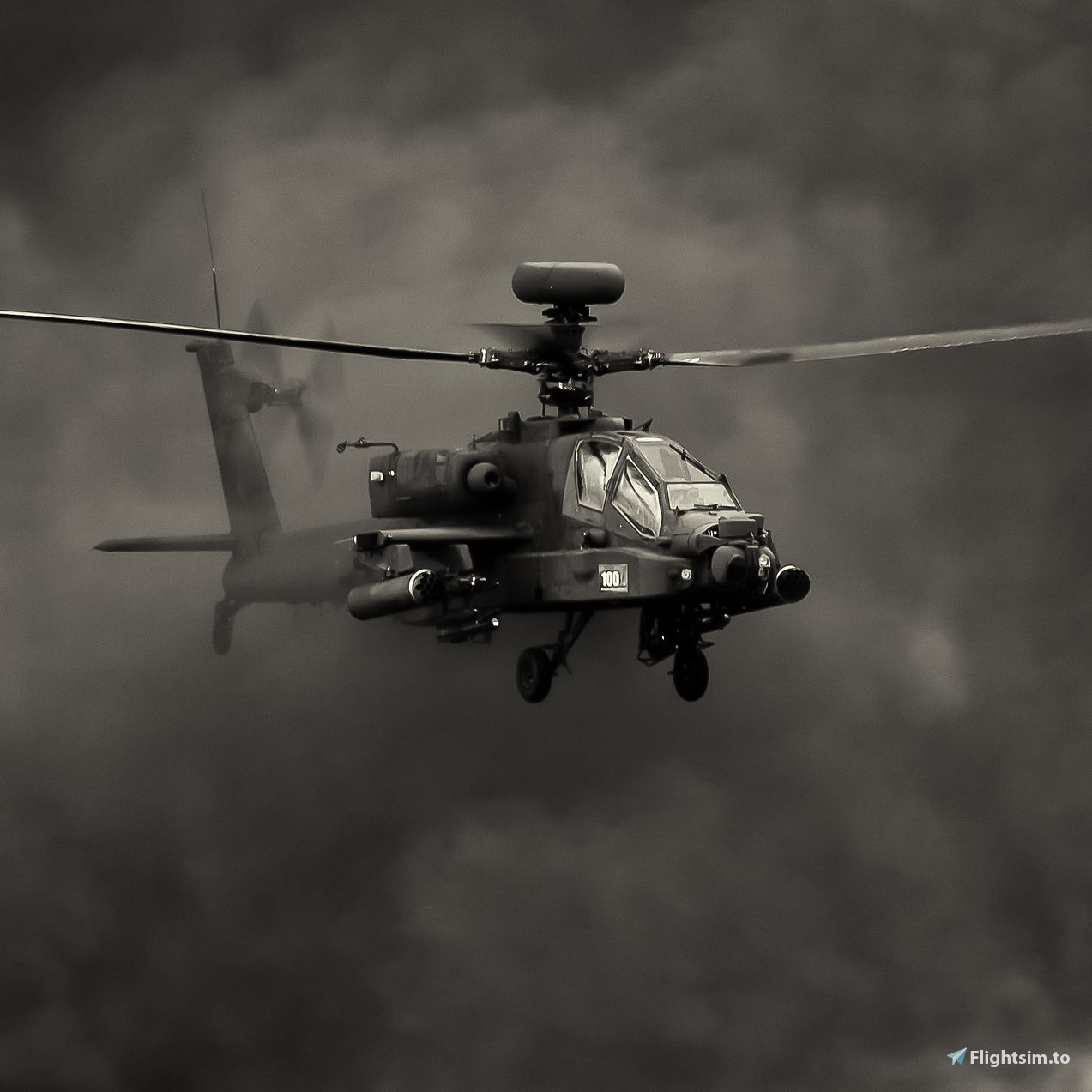 Hawk
