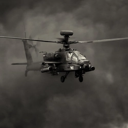 Hawk